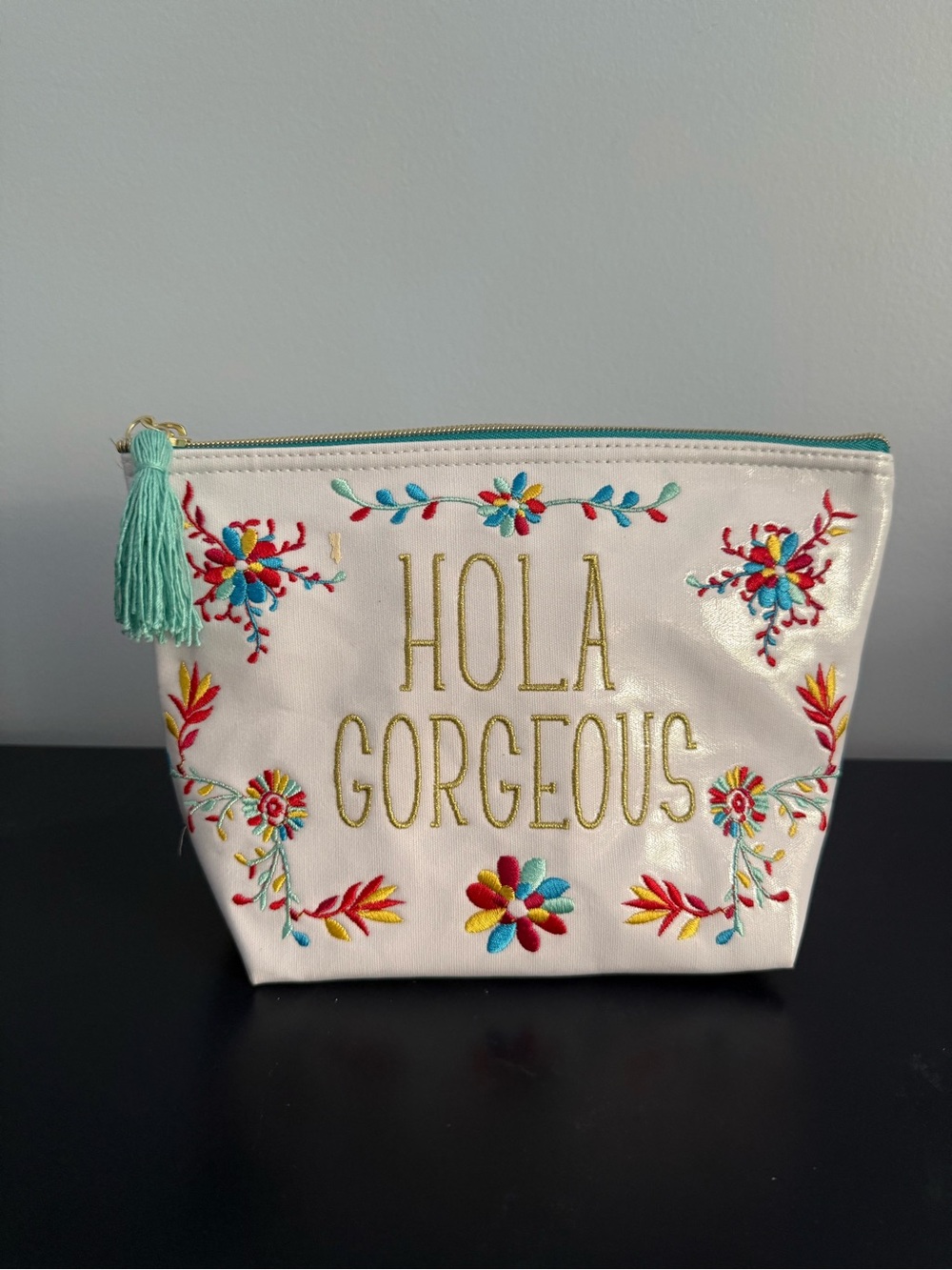 Hola Gorgeous Embroidered Pouch / Clutch